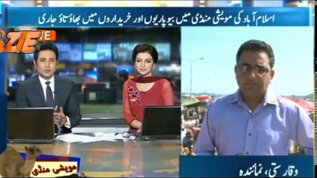 Bakra Eid Special 2 All Funny Tezabi Totay Punjabi Totay Funny Punjabi Dubbing