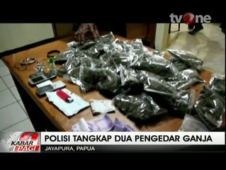 Dua Pengedar Ganja Antarkota Berhasil Diciduk Polisi