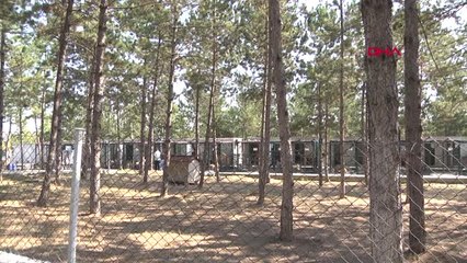 Çorum Barınaktaki Sokak Hayvanları Klimalar ile Serinliyor