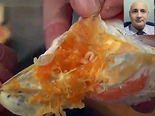 Eat Fruit Before Check First.