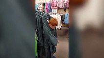 Funny boy dances to “all about that bass” in a department store