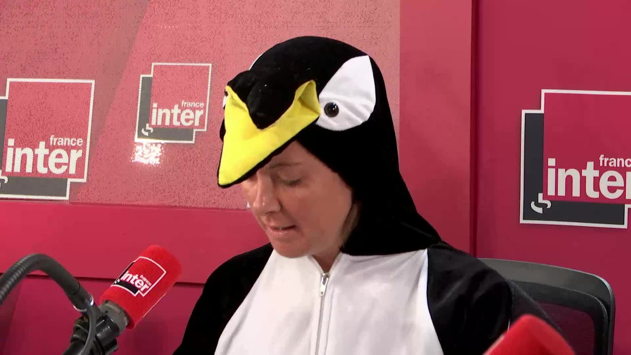 Démission de Nicolas Hulot : les abeilles ont fait la fête ! Le Billet de Charline