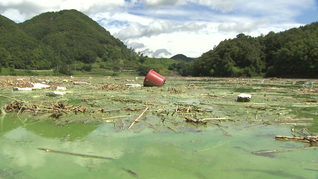 충청 대청호 집중호우에 쓰레기로 몸살...수질 비상 / YTN