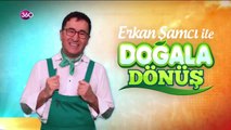 Doğala Dönüş