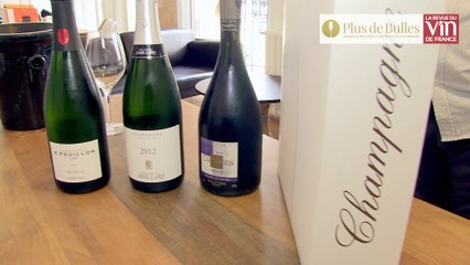 Trois beaux champagnes de vignerons réunis dans un coffret d'exception