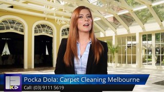 Pocka Dola: Carpet Cleaning Melbourne Nunawading Remarkable Five Star Review by Thy Nguyen