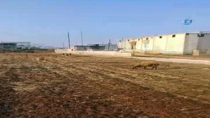 - Tsk'dan İdlib Ve Hama'ya Askeri Takviye