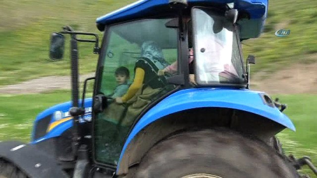 Katili ayı çıktı... Ayı saldırısı sonucu ölen şahsın otopsi sonucu belli oldu