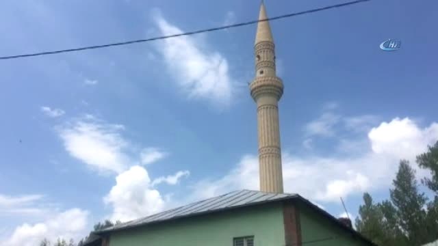 Katili Ayı Çıktı... Ayı Saldırısı Sonucu Ölen Şahsın Otopsi Sonucu Belli Oldu