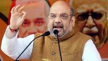 Amit Shah ने किया Loksabha Election पर बड़ा दावा, कहा 'अपने दम पर जीतेंगे चुनाव' | वनइंडिया हिंदी