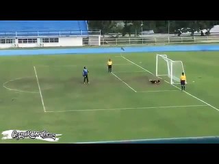 Dereyi Görmeden Paçayı Sıvama, Atasözünün Vücut Bulmuş Hali