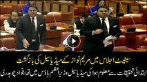 Fawad Chaudhry gives an account of former government's media cell