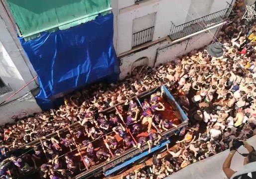Festival's Giant Tomato Fight Attracts Thousands to Spanish Town