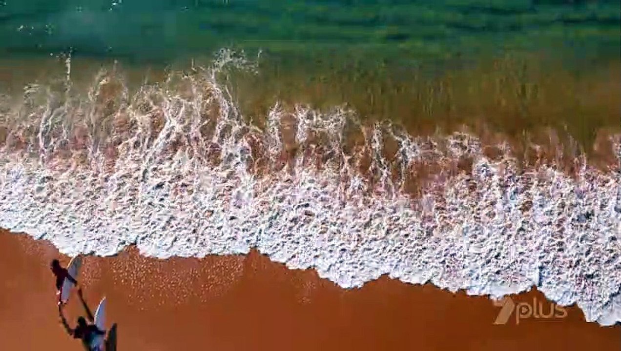 Home and Away - August 29, 2018 || 6945 || Ep.258 || Home and Away 6945 29th August 2018 HD - Home and Away 6945 29th August 2018 HD - Home and Away 6945 29th August 2018 HD - Home and Away 6945 29th August 2018 HD - Home and Away 6945 29th August 2018 HD