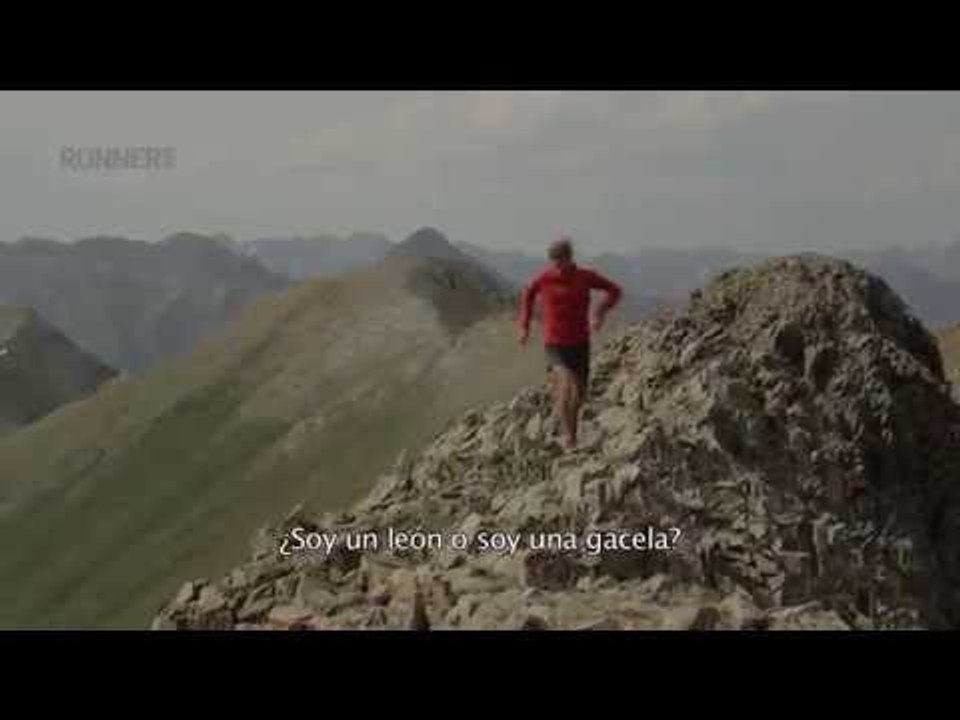 ¿Eres un león o eres una gacela?