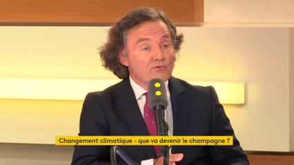 Pierre-Emmanuel Taittinger (champagne Taittinger) :  "Cette vendange est exceptionnelle !"