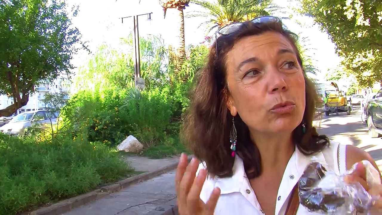 Regardez à quoi ressemble ce fameux charançon rouge