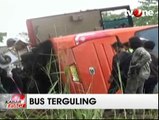 Bus Pariwisata Terguling di Cianjur