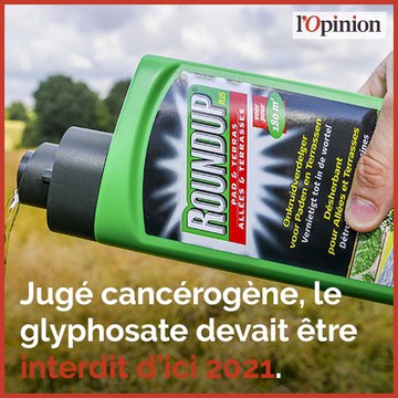 3 raisons qui ont poussé Nicolas Hulot à claquer la porte du gouvernement