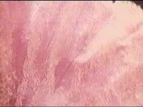 Zizi Jeanmaire - Mon Truc En Plumes