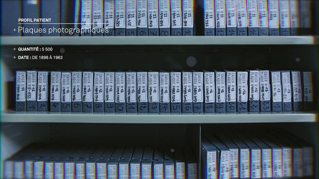 Numériser l'Histoire avec la Fondation de l'Œuvre Notre Dame