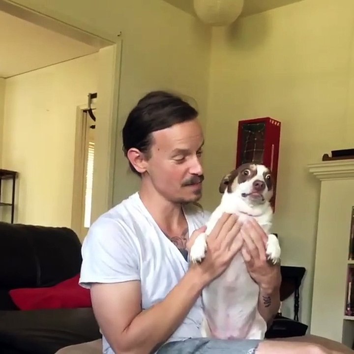 Un chien déteste être filmé
