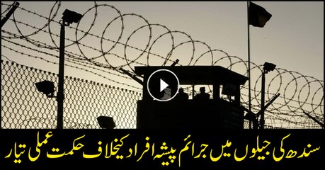 Plan of action prepared for criminals in Sindh prisons