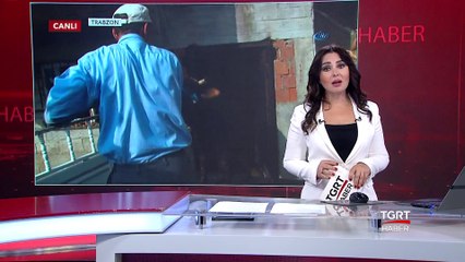 Yüzen Dana Kesilmekten Kurtuldu