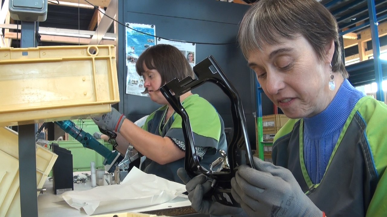 Pfastatt: le nouveau site de l'Adapei-les Papillons blancs prend vie