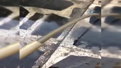 Irak'ın Basra Kentinde Su Zehirlenmesi Devam Ediyor