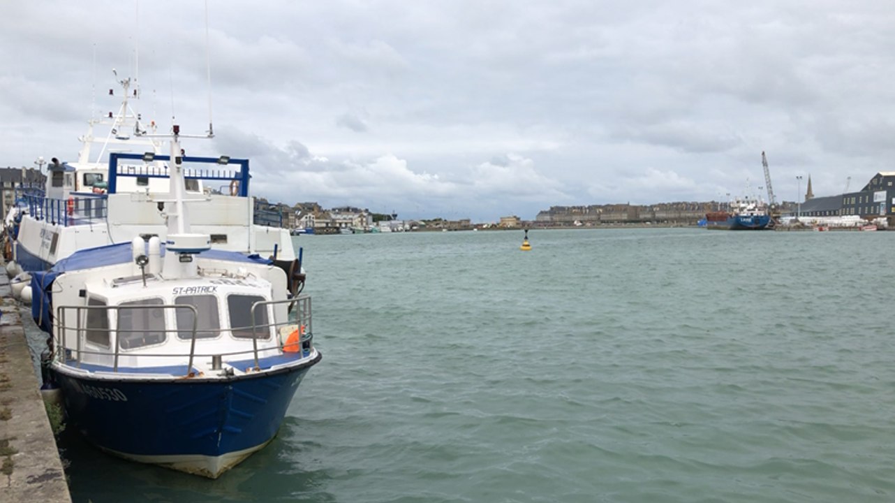 Des dizaines de poissons morts dans le bassin Bouvet