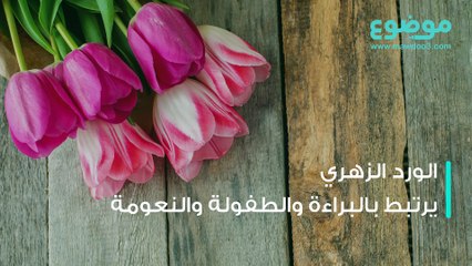 معاني ألوان الورود