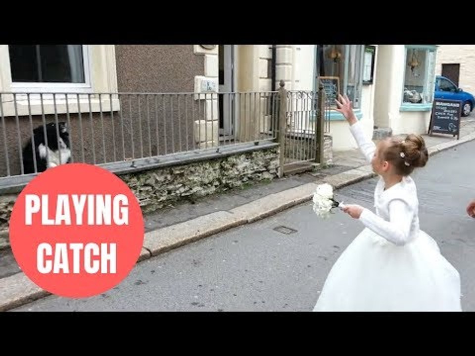 Adorable video shows a dog playing catch with passers by in the street