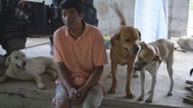 La vuelta a México rescatando perros, una historia de Edgardo Zuñiga