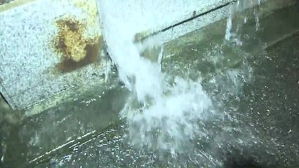 서울 응암동서 주택 20여 채 하루 만에 또 침수 / YTN