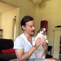 Un chien n'aime pas être filmé