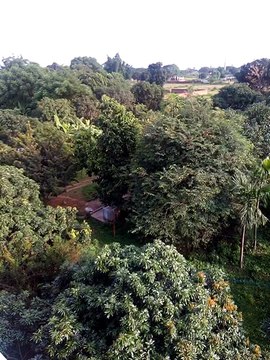 Natural Beauty in India
