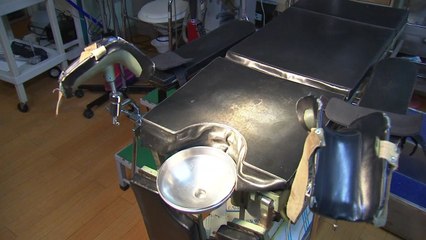 복지부, '낙태수술 의사 처벌' 헌재 결정 때까지 유보 / YTN