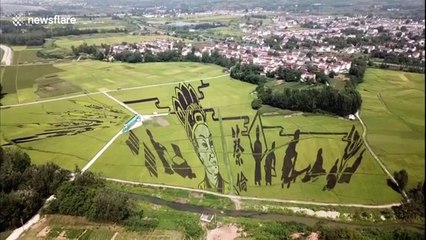 Chinese scientist carves playful animal figures out of rice fields