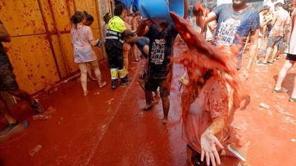 جشن توماتینای اسپانیا: پرتاب گوجه فرنگی شرکت‌کنندگان را سرخ‌ پوش کرد