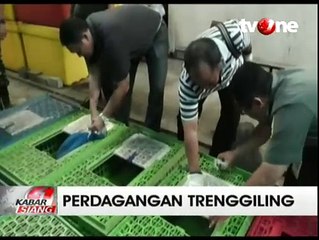 Polisi Bongkar Penyelundupan 5 Ton Daging Tringgiling