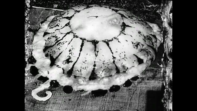 Fatty's Day Off (1913)