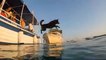 Cães e donos competem no Mar Adriático