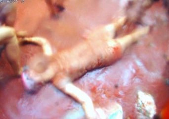 Tomato Angels? It's What You Do at Spain's La Tomatina Festival