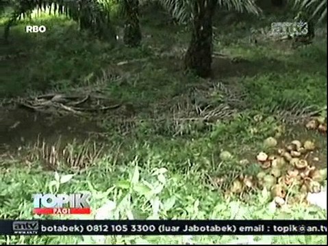 Korban Begal Babak Belur, Truk Dirampas