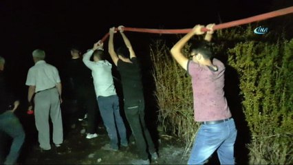 Tosya’da çıkan yangında arı kovanları yandı