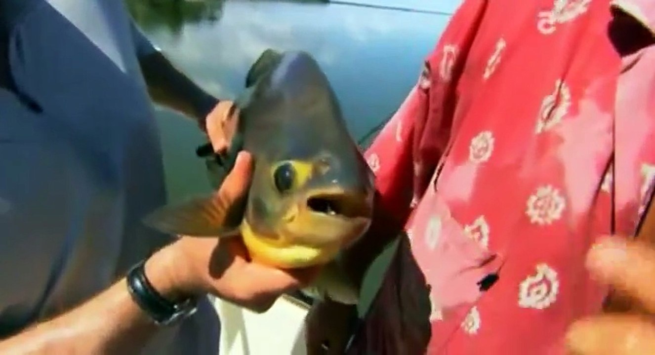 Extreme Fishing with Robson Green S05 Ep06 Argentina HD Watch Dailymotion Video