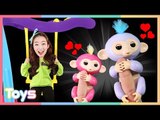 내 친구 핑거링스 원숭이 인형 장난감 놀이| 캐리와장난감친구들