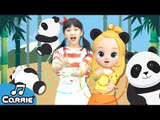 [댄스] 호이호이 판다송 Hoi-Hoi Panda Song | 캐리앤 송