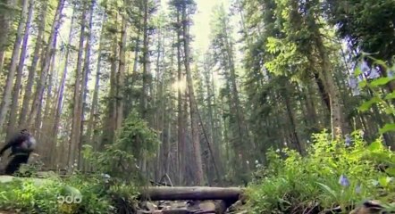 Extreme Weight Loss S05 - Ep05 Love Canât Weight Bryce and Amber - Part 01 HD Watch